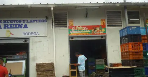EL PALACIO DE LAS FRUTAS NACIONALES EL PALACIO DE LAS FRUTAS NACIONALES